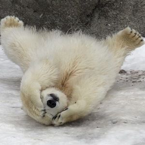 Meet your Posher, Kristina